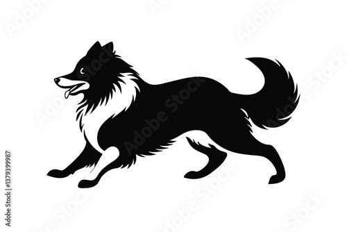 Running Shetland Sheepdog vector silhouette