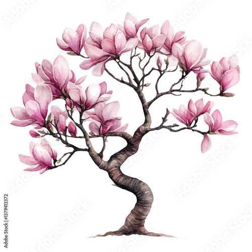 A watercolor vector painting of Magnolia tree, isolated on a white background.


