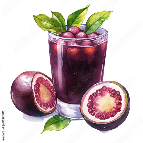 watercolor vector of Mangosteen Juice, isolated on a white background. Mangosteen Juice vector

