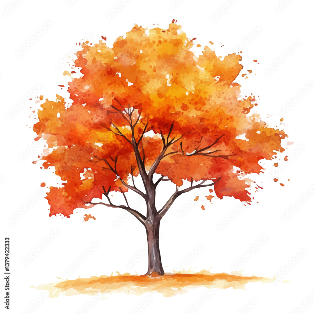 watercolor vector of Maple tree, isolated on a white background. Maple tree vector

