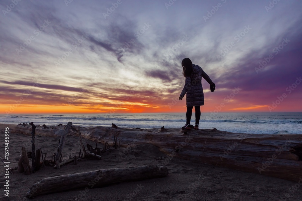 Fototapeta premium A woman stands on driftwood at sunset on Point Reyes Beach, Inverness, California, USA. She is holding a hat and looking out at the ocean. The sky is a mix of pink, orange, and gray.