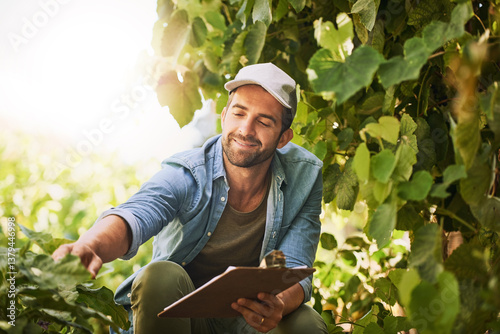 Farmer, agriculture and check crop on farm for growth, quality assurance and vegetable production. Man, inspection and agro food business with sustainability or ecology in countryside for harvest