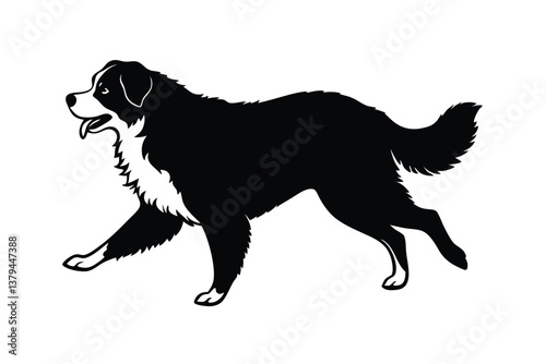 Running Bernese Mountain Dog vector silhouette