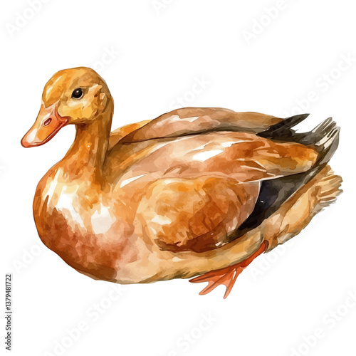 watercolor vector of Peking Duck, isolated on a white background. Peking Duck vector
