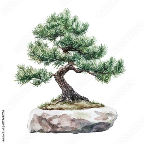 watercolor vector of Pine Bonsai, isolated on a white background. Pine Bonsai vector
