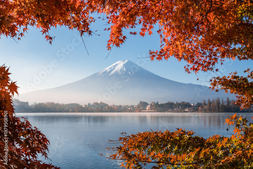 Fototapeta Naklejka Na Ścianę i Meble -  Colorful Autumn Season and Mountain Fuji with morning fog and red leaves at lake Kawaguchiko is one of the best places in Japan