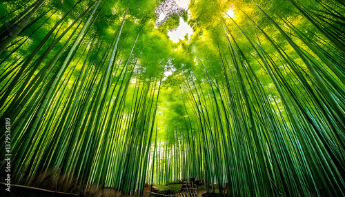竹林　新緑　生成AI　背景