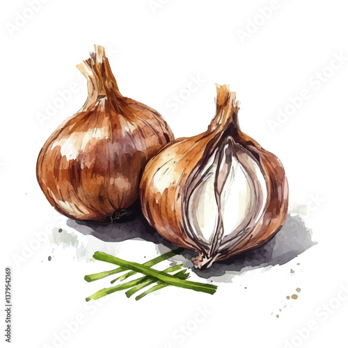 A watercolor vector illustration of garlic, isolated on a white background.

