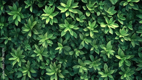 Wallpaper Mural Lush green foliage wall texture background, garden, nature, design Torontodigital.ca