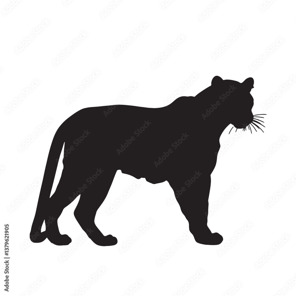Black vector silhouette illustration of wild cat predators Black vector silhouette illustration of wild cat predators