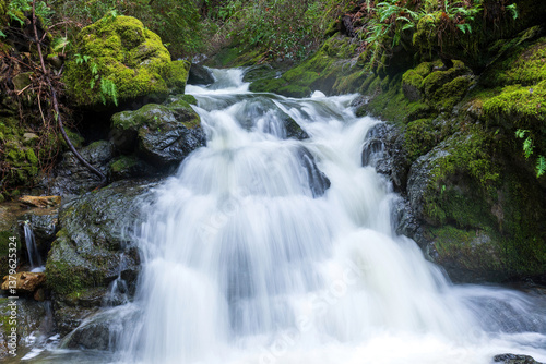 Gushing waterfalls at Cataract Falls. Mount Tamalpais State Park, Marin County, California, USA.