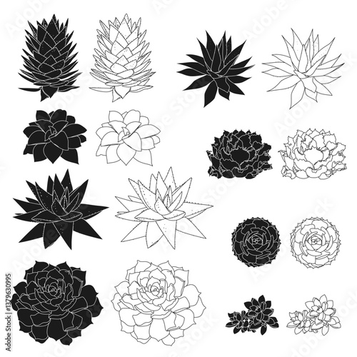Succulent silhouette set, Cute hand drawn succulent plant. Vector illustration