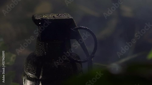 Wallpaper Mural Grenade and ken burns effect out - moisty jungle settting and wet Torontodigital.ca