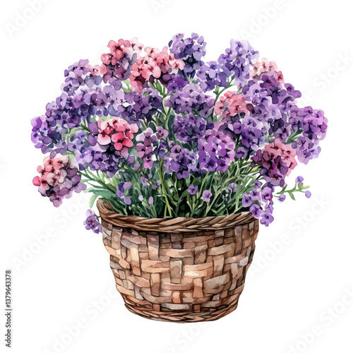 A watercolor vector illustration of Verbena bouquet in a basket, isolated on a white background.

