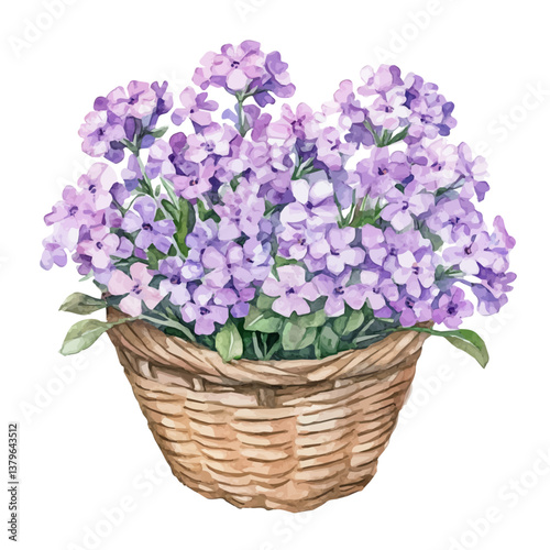 A watercolor vector illustration of Verbena bouquet in a basket, isolated on a white background.

