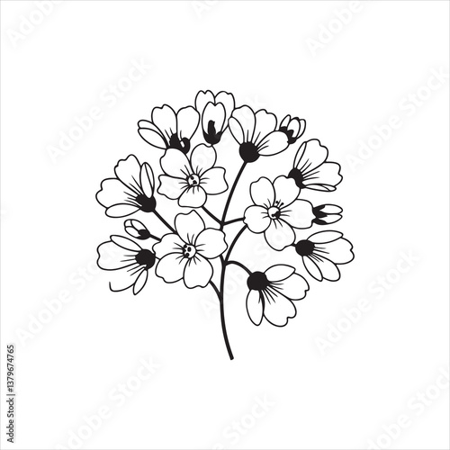 Test 400Why Gypsophila Is the Perfect Flower for Weddings and Bouquets