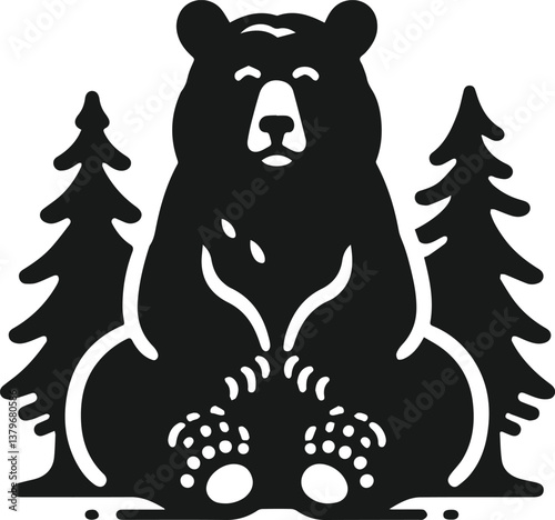 Photography Bear vector