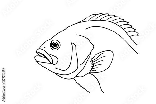 Line Drawing of a Fish Aquatic, Bony, Gills, Scales, Fins, Profile View, Ocean, River, Wildlife, Nat
