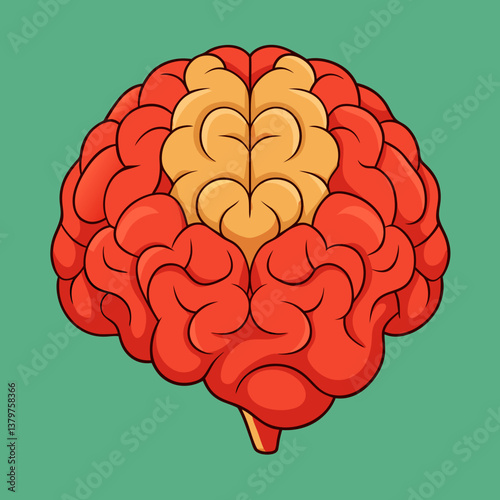 brain