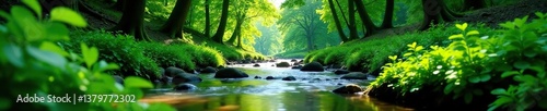 A lush green forest with a clear stream running through, showcasing the beauty and harmony of nature,  organic, ecology