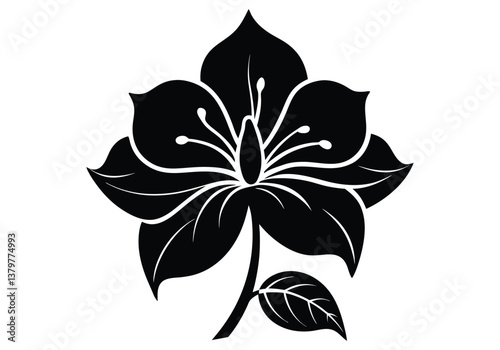 bauhinia flower silhouette  isolated on white background