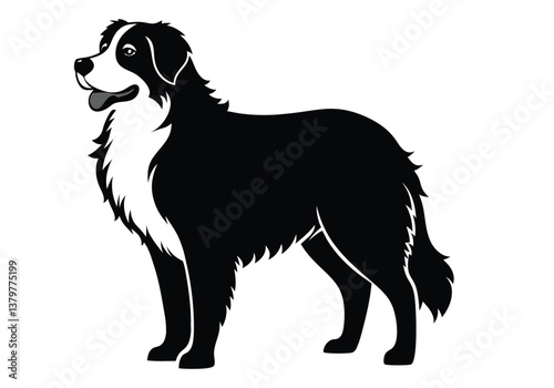 bernese dog silhouette  isolated on white background