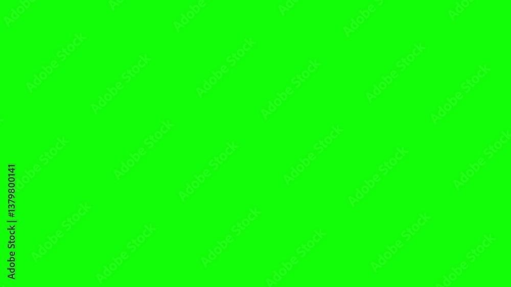 Cute bird singing with musical notes on green screen 2D animation (Chroma key)