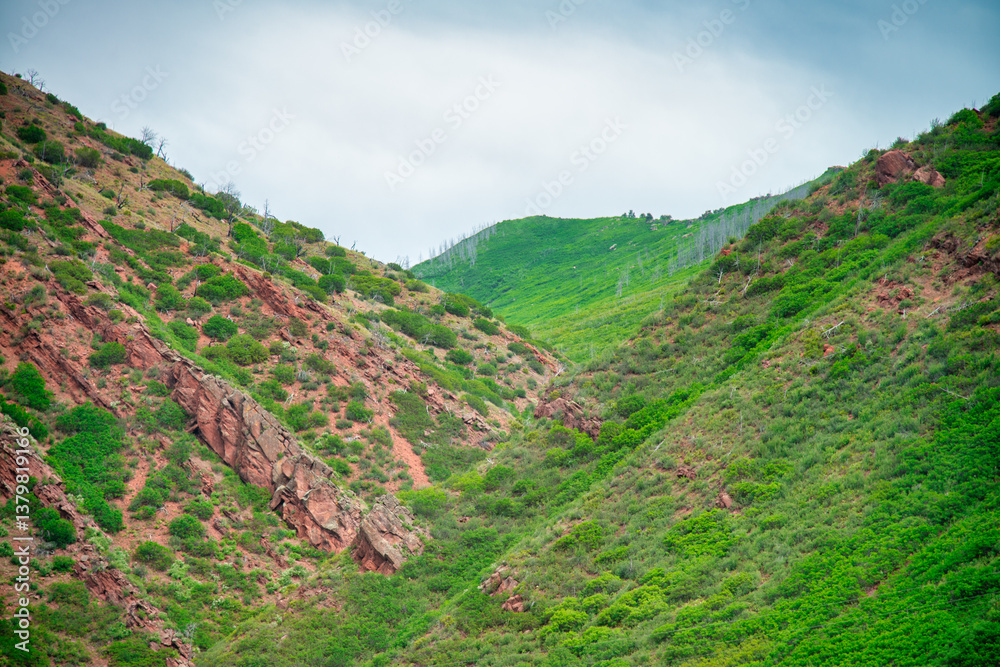 A beautiful mountain of Colorado Canyon