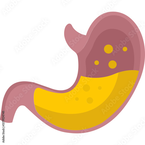 Stomach  Icons | SVG Vector Pack