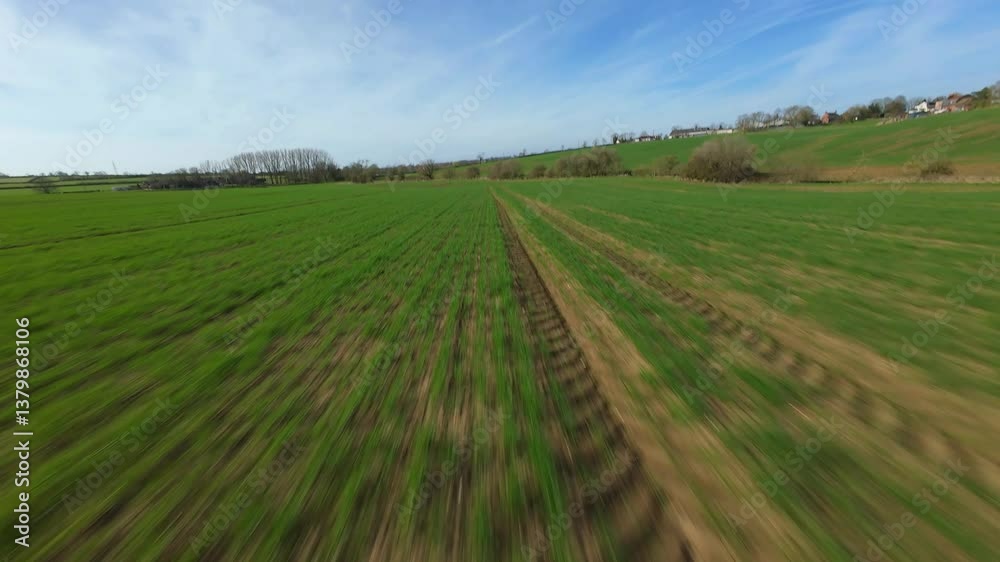 FPV aerial drone close proximity flying close across rural fields and around trees in England sunny day. FPV aerial drone close proximity flying close across rural fields and around trees in England sunny day.