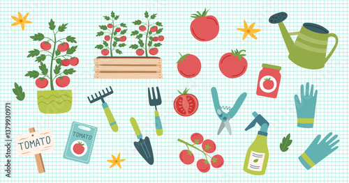 Tomato cliparts isolated on checkered background. Tomato vegetable. Gardening concept. Tomato and equipment for planting vegetables. Vector hand drawn illustration.