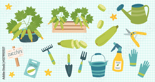 Zucchini cliparts isolated on checkered background. Zucchini vegetable. Gardening concept. Squash and equipment for planting vegetables. Vector hand drawn illustration.