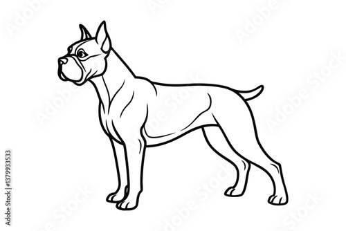 Line art vector illustration of a Boxer dog standing with a muscular build and cropped ears.eps
