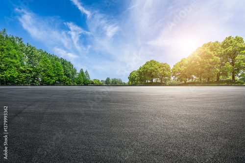 Obraz na płótnie Empty asphalt road ground and lush green trees under a sunny blue sky w salonie