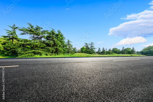 Obraz na płótnie Empty asphalt road and lush green trees under a clear blue sky w salonie