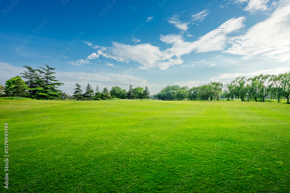 Lush green grass field and trees in natural park under blue sky Lush green grass field and trees in natural park under blue sky