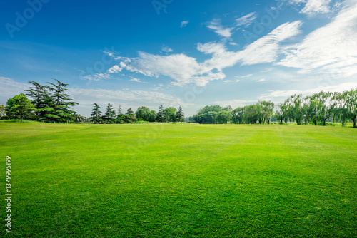 Obraz na płótnie Lush green grass field and trees in natural park under blue sky w salonie