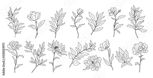 Set of Peony, November birth month flowers and leaves outline drawing. Modern minimalist hand drawn floral design for logo, tattoo, packaging, cards. Line art vector clipart