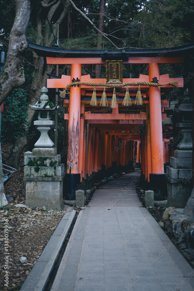鳥居 鳥居
