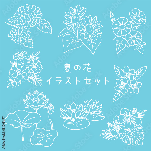 夏の花イラストセット　手がきペン画