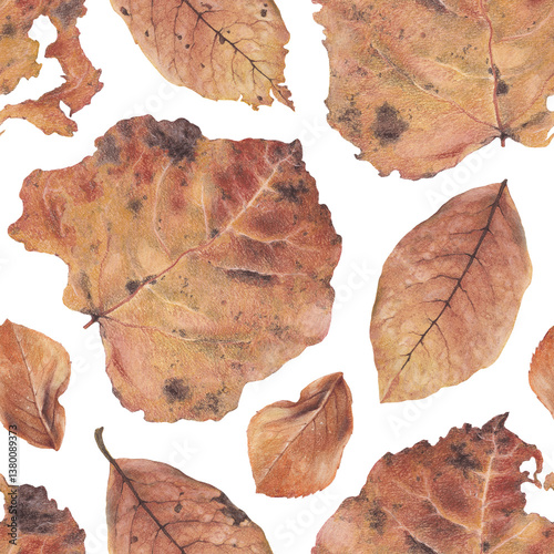 Elegant hand drawn pattern design with illustrations of fallen leaves. Perfect for home textile, wallpapers, fabrics, apparel, packaging design, stationery and other printed goods