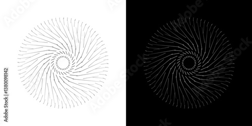 Abstract background with abstract line pattern in circles. Spiral art design as a logo or icon. A black figure on a white background and the same white figure on a black side. Mandala design with line