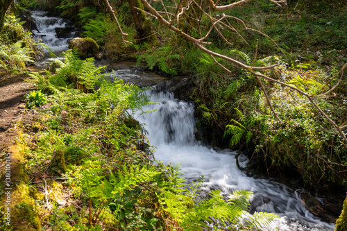 Trail of the mills of the Middle River