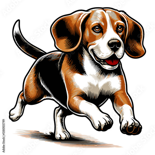 Beagle vector and illustrations