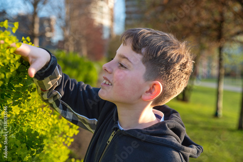 A boy with interest and curiosity looking to the green blossoming bushes in the park
