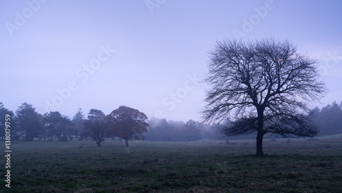 Wallpaper Mural 山梨県北杜市　秋の八ヶ岳牧場 Torontodigital.ca
