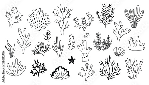 Set of hand drawn algae, corals. Sea life doodle set. Marine life elements.  Vector illustration isolated on white background.
