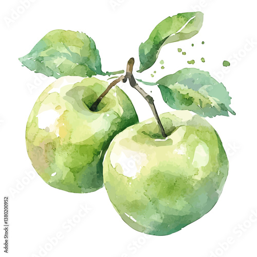 A watercolor vector of a apple, isolated on a white background. Apple vector

