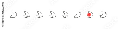 Stomach healthcare icons. Digestive system medical symbols