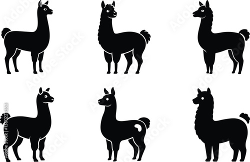 alpaca silhouette vector illustration